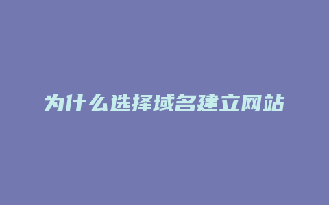为什么选择域名建立网站