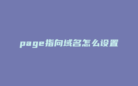 page指向域名怎么设置