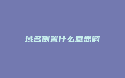 域名倒置什么意思啊