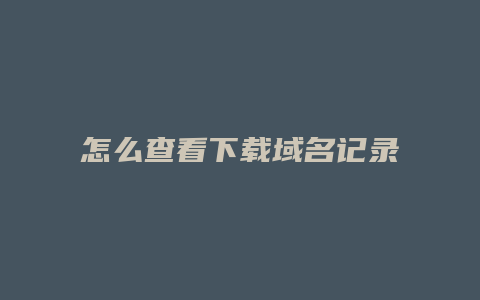 怎么查看下载域名记录
