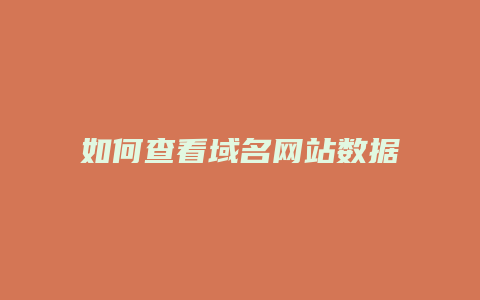 如何查看域名网站数据