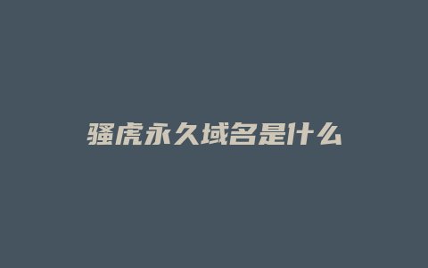 骚虎永久域名是什么
