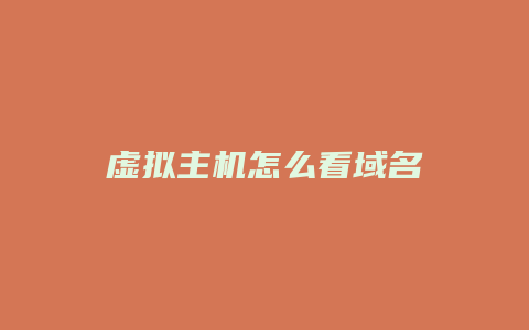 虚拟主机怎么看域名